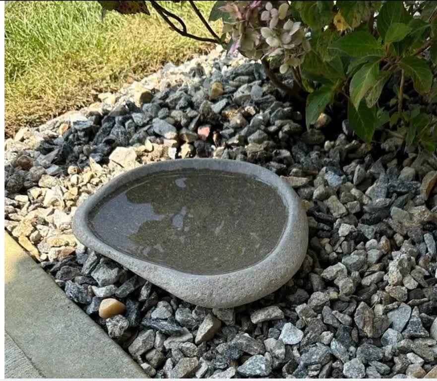 Critter Water Stone Bowl