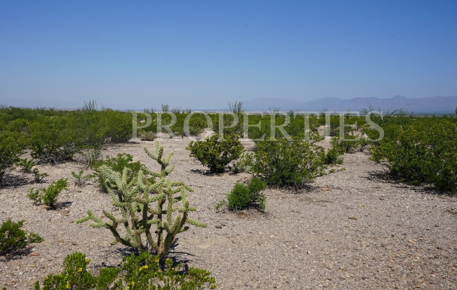 Rio Conchos Casitas Land
